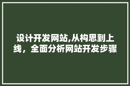 设计开发网站,从构思到上线，全面分析网站开发步骤
