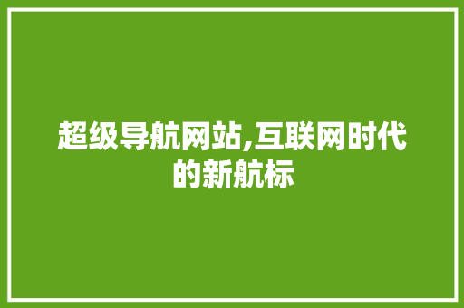 超级导航网站,互联网时代的新航标