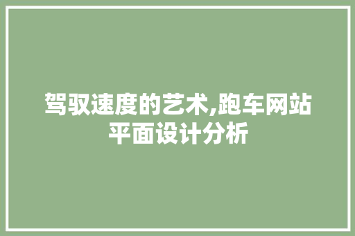 驾驭速度的艺术,跑车网站平面设计分析