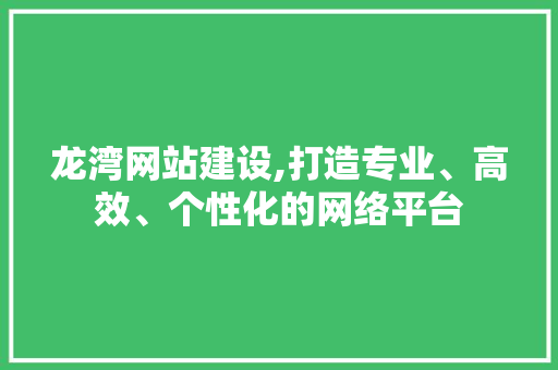 龙湾网站建设,打造专业、高效、个性化的网络平台