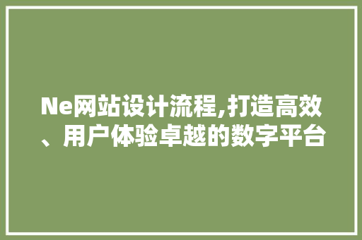 Ne网站设计流程,打造高效、用户体验卓越的数字平台