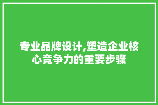 专业品牌设计,塑造企业核心竞争力的重要步骤 专业品牌设计,塑造企业核心竞争力的重要步骤 建站教程