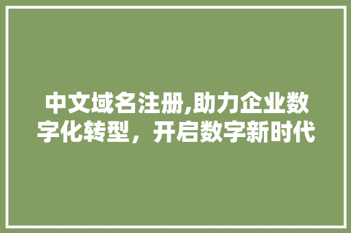 中文域名注册,助力企业数字化转型，开启数字新时代 中文域名注册,助力企业数字化转型，开启数字新时代 友链在线