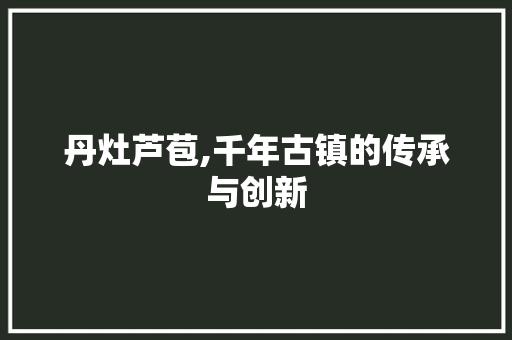 丹灶芦苞,千年古镇的传承与创新 丹灶芦苞,千年古镇的传承与创新 服务器/数据库