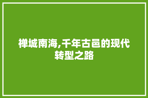 禅城南海,千年古邑的现代转型之路 禅城南海,千年古邑的现代转型之路 服务器/数据库