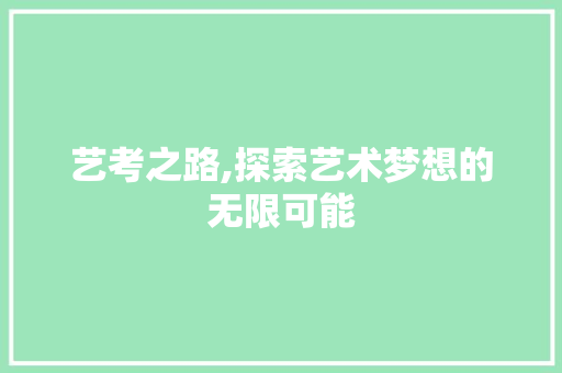 艺考之路,探索艺术梦想的无限可能