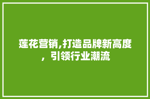 莲花营销,打造品牌新高度，引领行业潮流