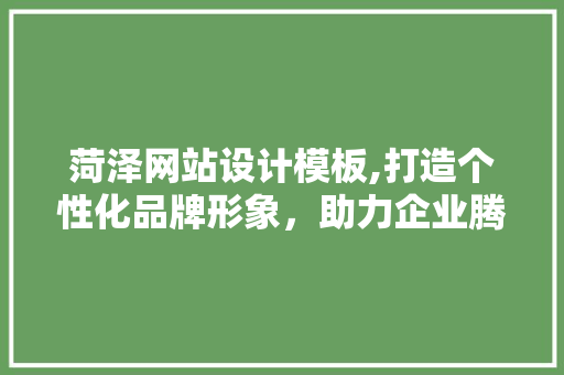 菏泽网站设计模板,打造个性化品牌形象，助力企业腾飞