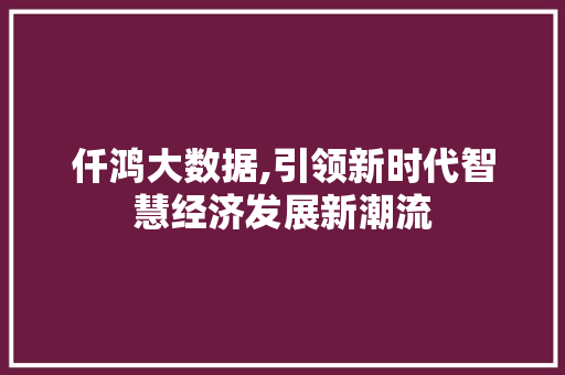仟鸿大数据,引领新时代智慧经济发展新潮流