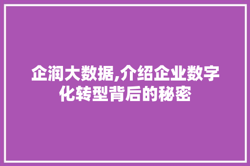 企润大数据,介绍企业数字化转型背后的秘密 建站教程