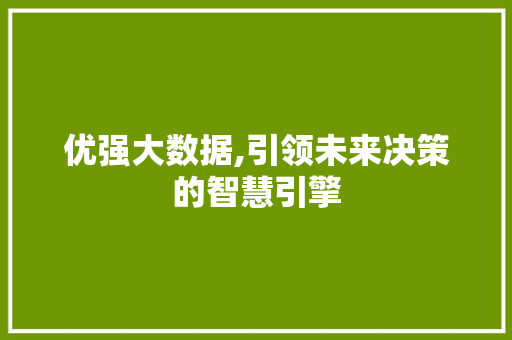 优强大数据,引领未来决策的智慧引擎