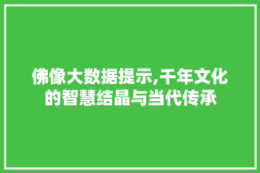 佛像大数据提示,千年文化的智慧结晶与当代传承