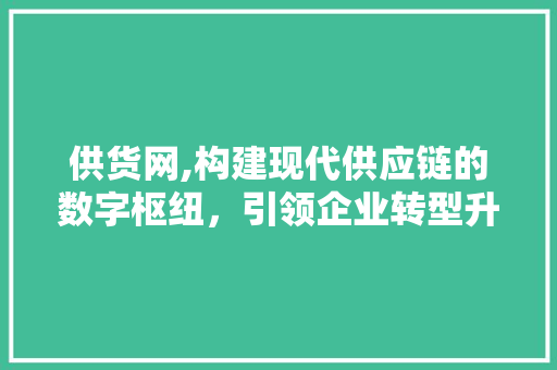 供货网,构建现代供应链的数字枢纽，引领企业转型升级