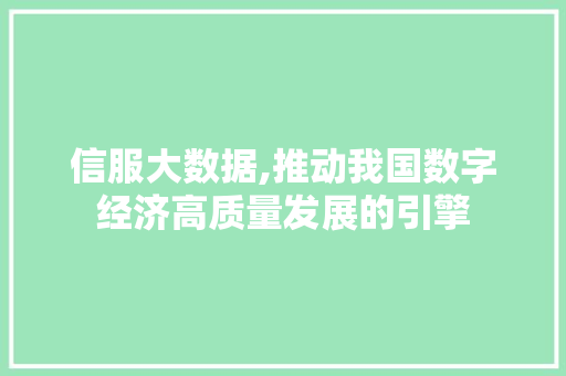信服大数据,推动我国数字经济高质量发展的引擎 WordPress教程