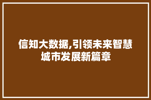 信知大数据,引领未来智慧城市发展新篇章