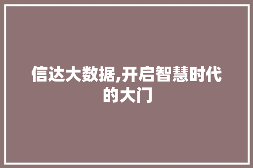 信达大数据,开启智慧时代的大门