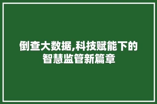 倒查大数据,科技赋能下的智慧监管新篇章