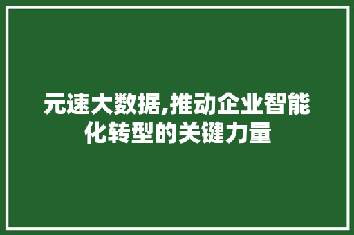 元速大数据,推动企业智能化转型的关键力量