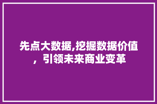 先点大数据,挖掘数据价值，引领未来商业变革