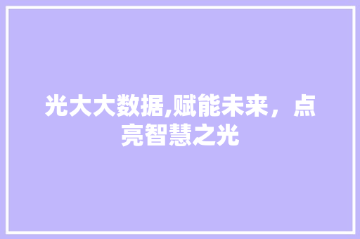 光大大数据,赋能未来，点亮智慧之光 建站教程