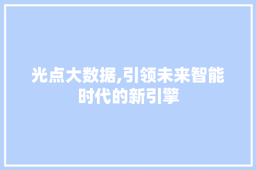光点大数据,引领未来智能时代的新引擎