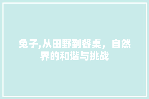 兔子,从田野到餐桌，自然界的和谐与挑战 建站教程