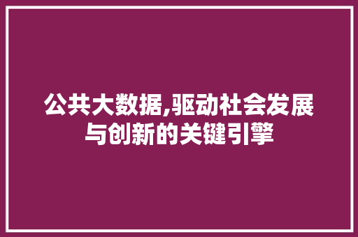 公共大数据,驱动社会发展与创新的关键引擎 Web前端