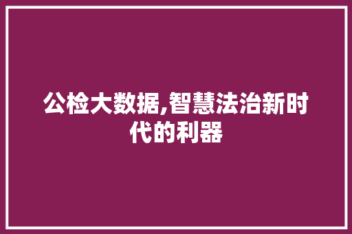 公检大数据,智慧法治新时代的利器