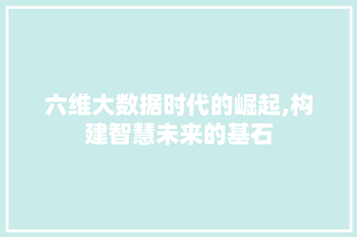 六维大数据时代的崛起,构建智慧未来的基石