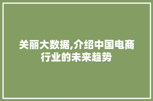 关丽大数据,介绍中国电商行业的未来趋势