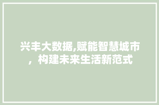 兴丰大数据,赋能智慧城市，构建未来生活新范式