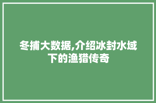 冬捕大数据,介绍冰封水域下的渔猎传奇