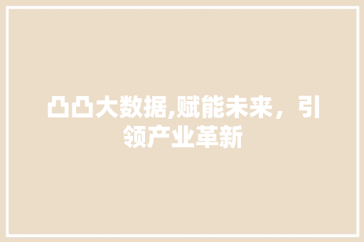 凸凸大数据,赋能未来，引领产业革新