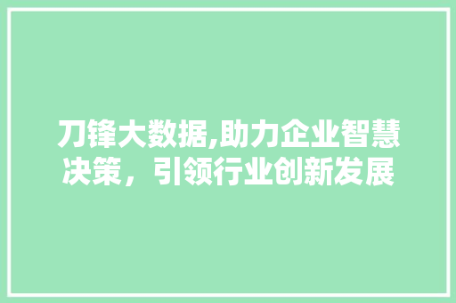 刀锋大数据,助力企业智慧决策，引领行业创新发展