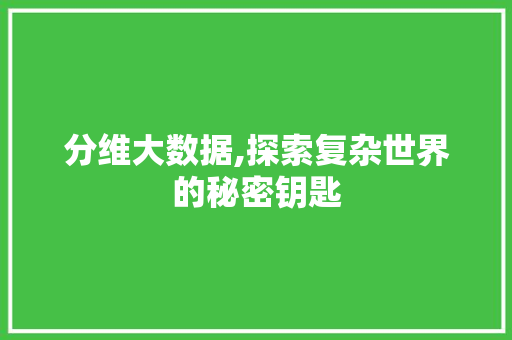 分维大数据,探索复杂世界的秘密钥匙