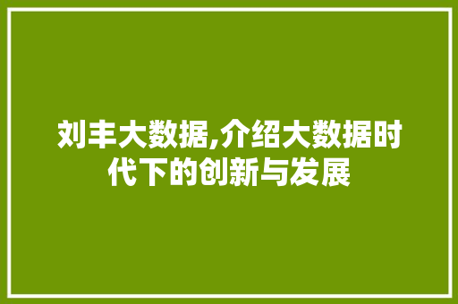 刘丰大数据,介绍大数据时代下的创新与发展