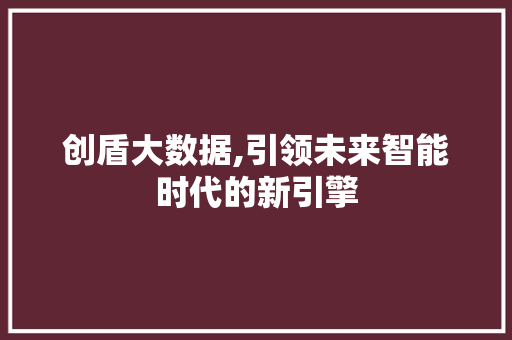 创盾大数据,引领未来智能时代的新引擎