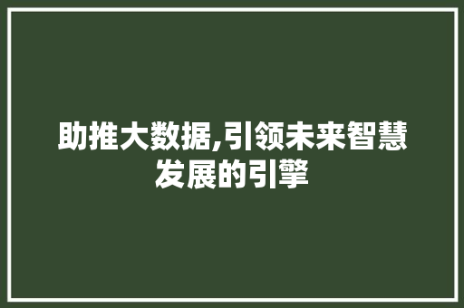 助推大数据,引领未来智慧发展的引擎 SEO教程
