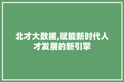 北才大数据,赋能新时代人才发展的新引擎