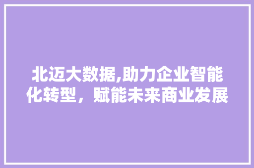 北迈大数据,助力企业智能化转型，赋能未来商业发展