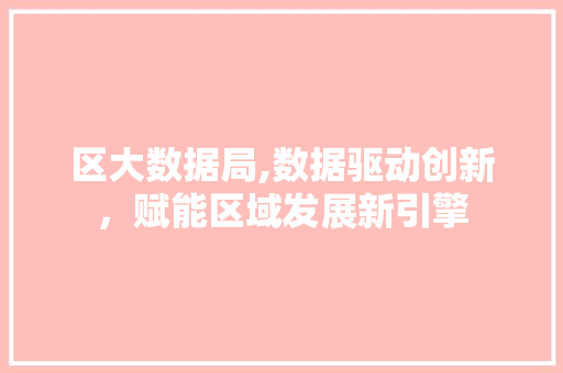 区大数据局,数据驱动创新，赋能区域发展新引擎
