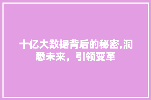 十亿大数据背后的秘密,洞悉未来，引领变革