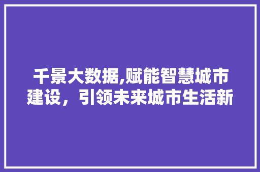 千景大数据,赋能智慧城市建设，引领未来城市生活新篇章 WordPress教程