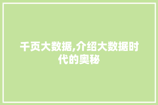 千页大数据,介绍大数据时代的奥秘