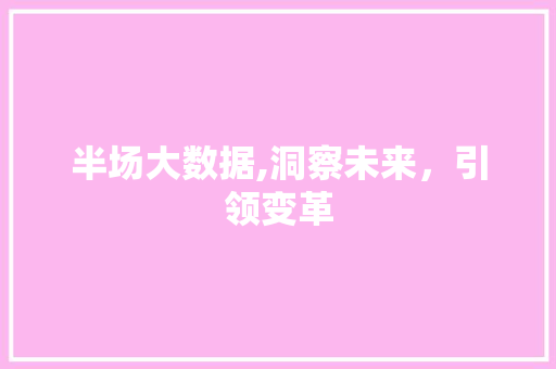 半场大数据,洞察未来，引领变革