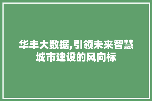 华丰大数据,引领未来智慧城市建设的风向标