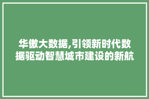 华傲大数据,引领新时代数据驱动智慧城市建设的新航标