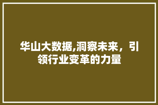 华山大数据,洞察未来，引领行业变革的力量 SEO教程