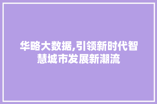 华略大数据,引领新时代智慧城市发展新潮流