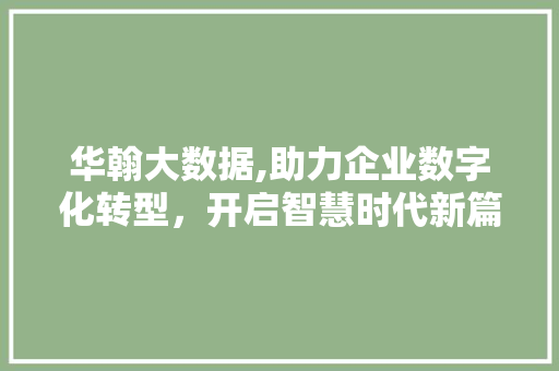 华翰大数据,助力企业数字化转型，开启智慧时代新篇章